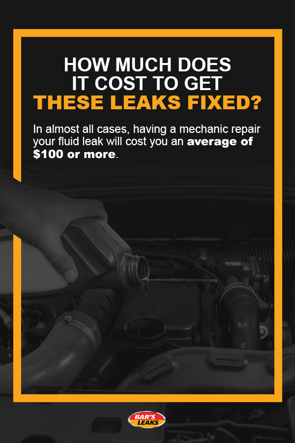 cost to fix leaks